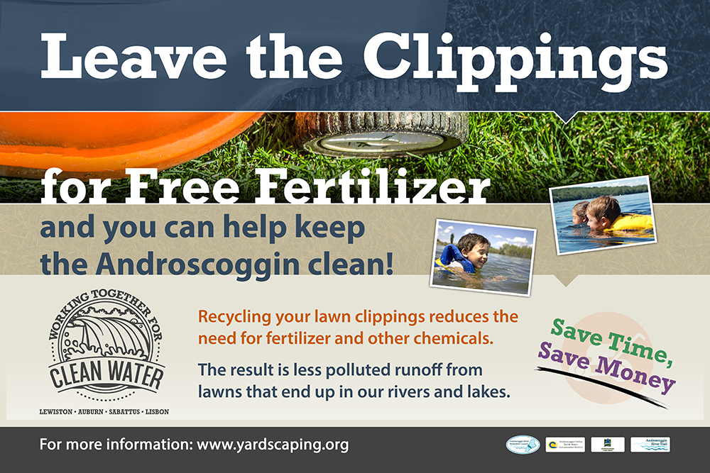 Let-The-Clippings-Lie